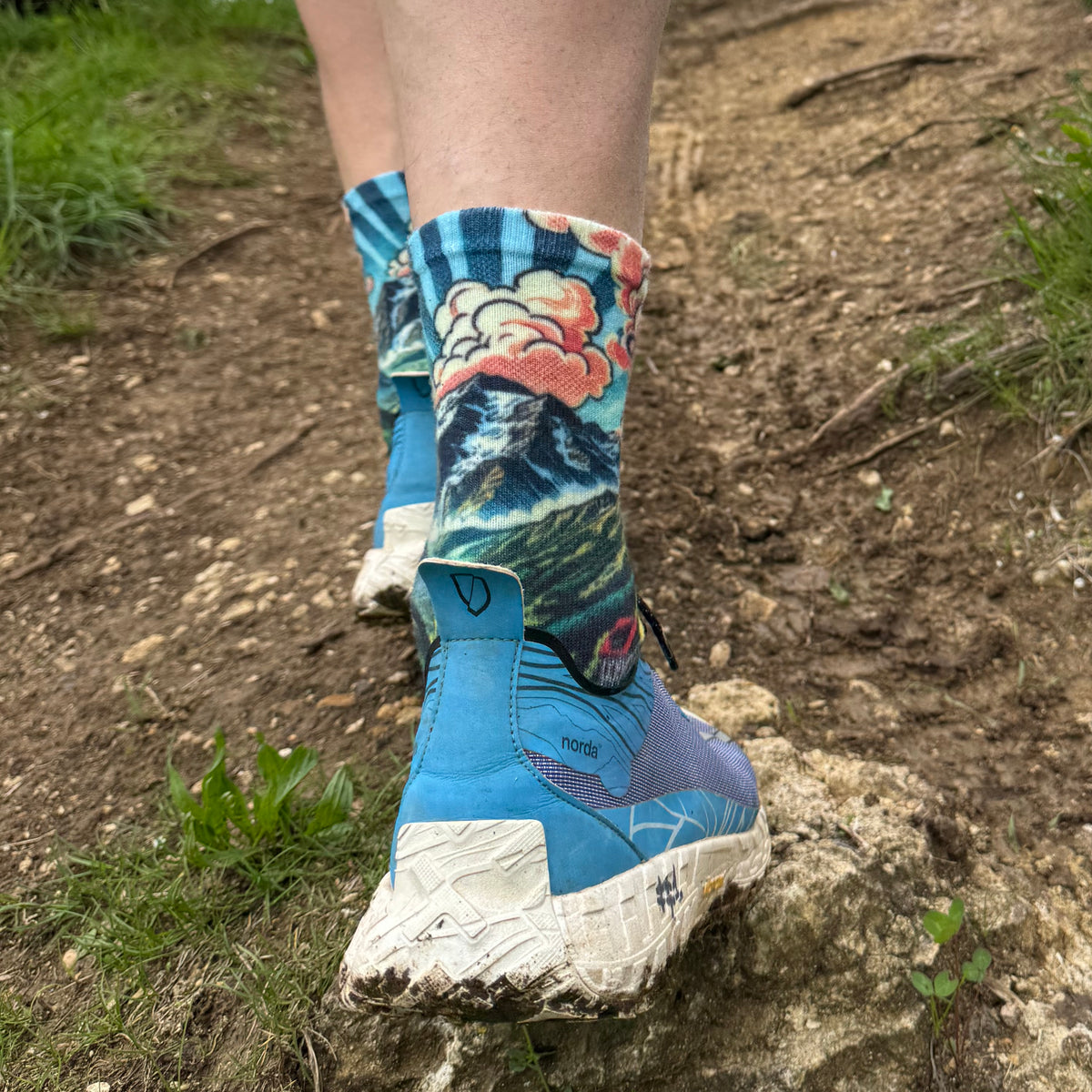 Ortler - High Cut Five Finger Socks