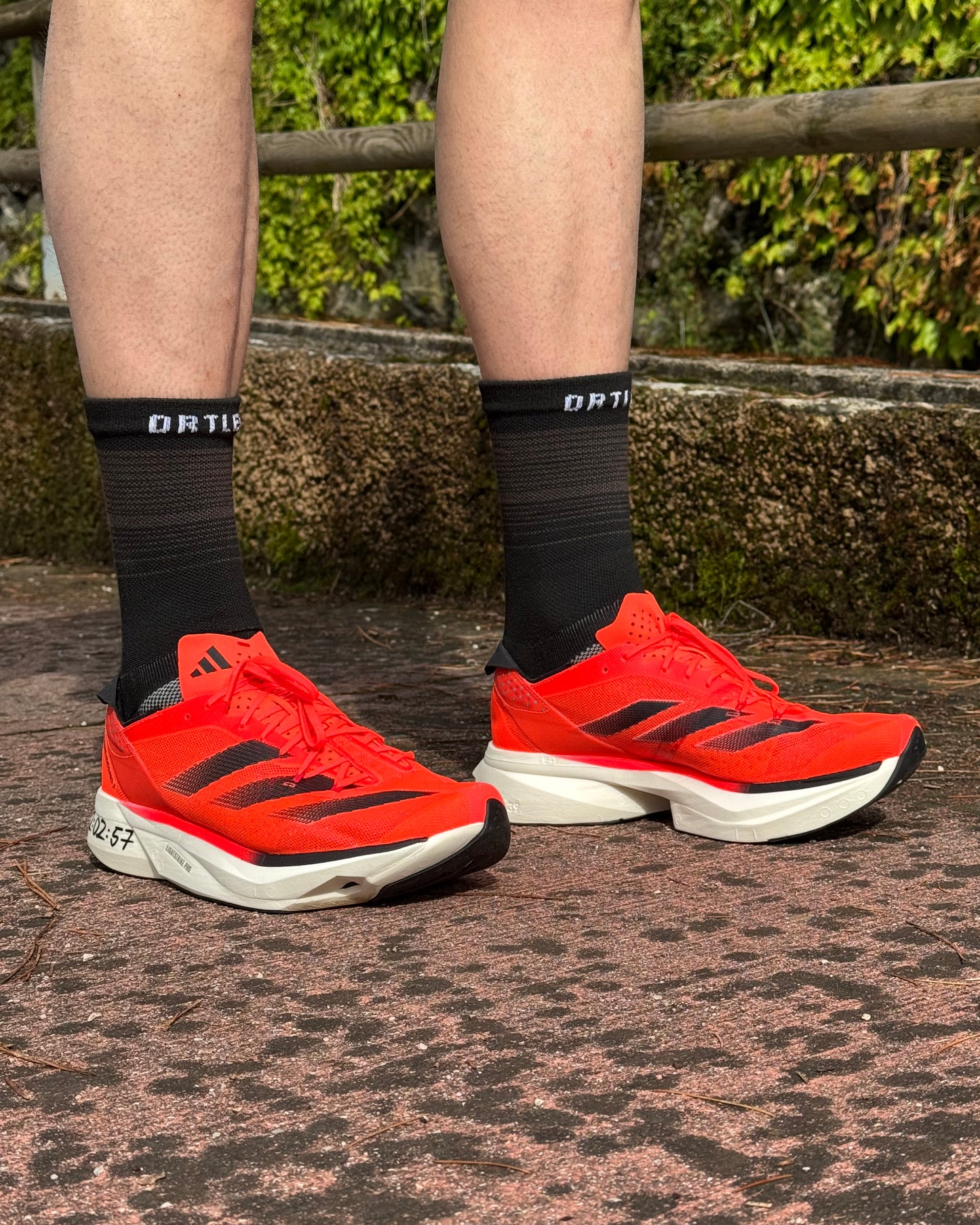 Elite - Calze Compressive Alte 5 Dita