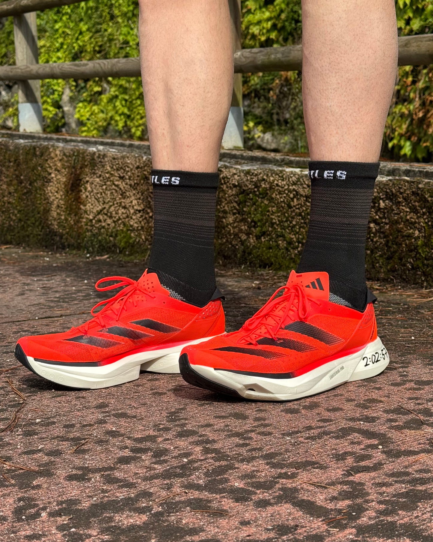 Elite - Calze Compressive Alte 5 Dita