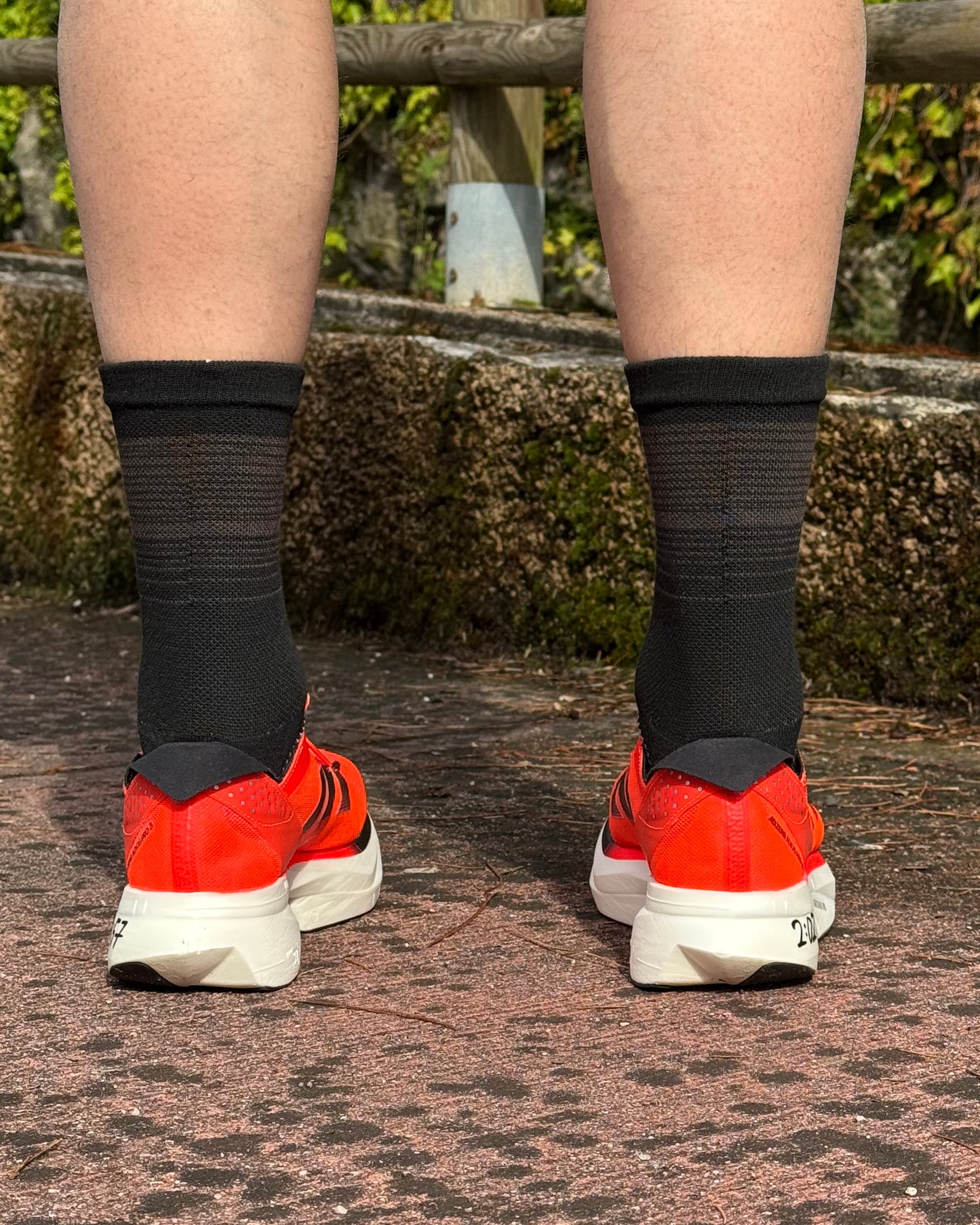 Elite - Calze Compressive Alte 5 Dita