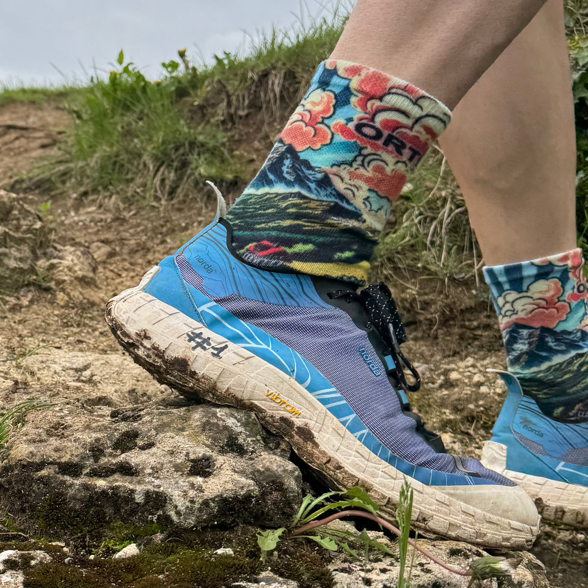 Ortler - High Cut Five Finger Socks